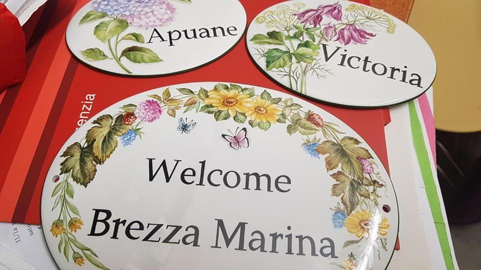 Brezza Marina Bed & Breakfast Marina Di Carrara Ngoại thất bức ảnh